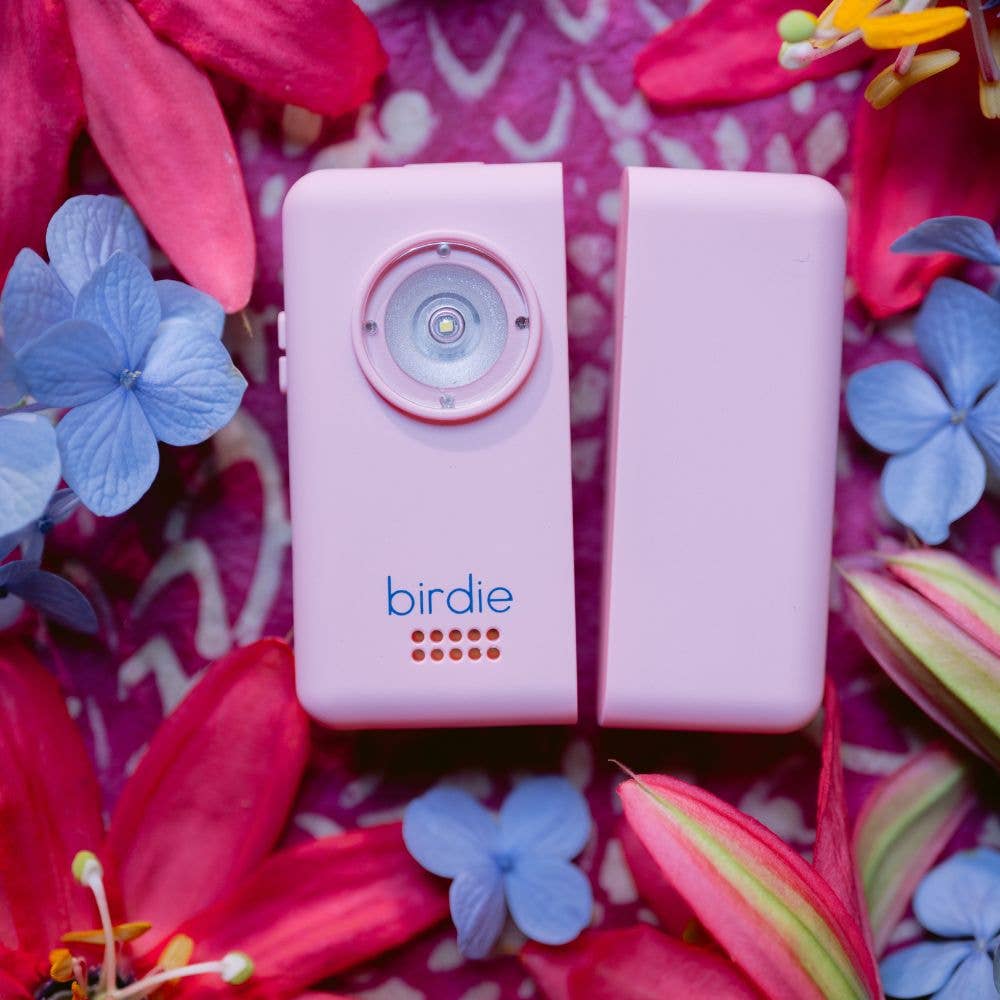 Birdie Box Portable Door Alarm