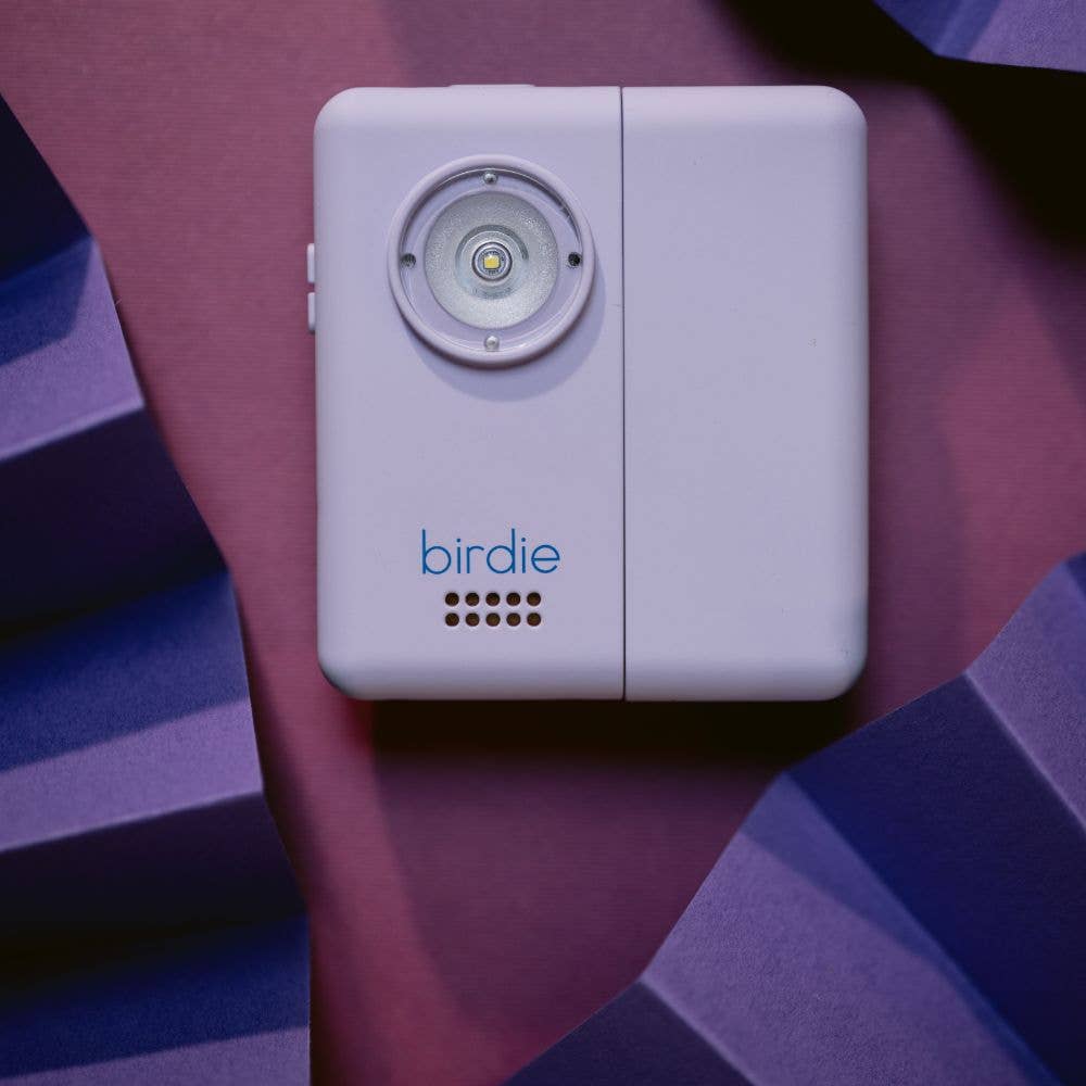 Birdie Box Portable Door Alarm