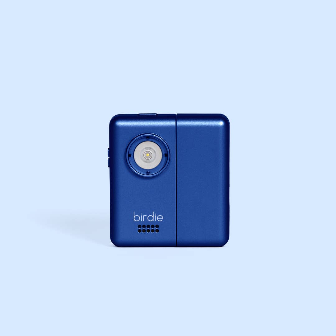 Birdie Box Portable Door Alarm