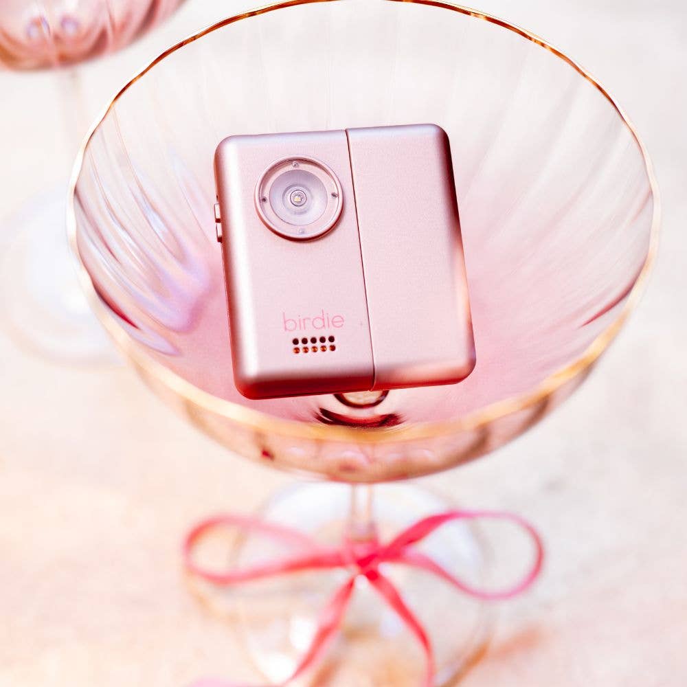Birdie Box Portable Door Alarm