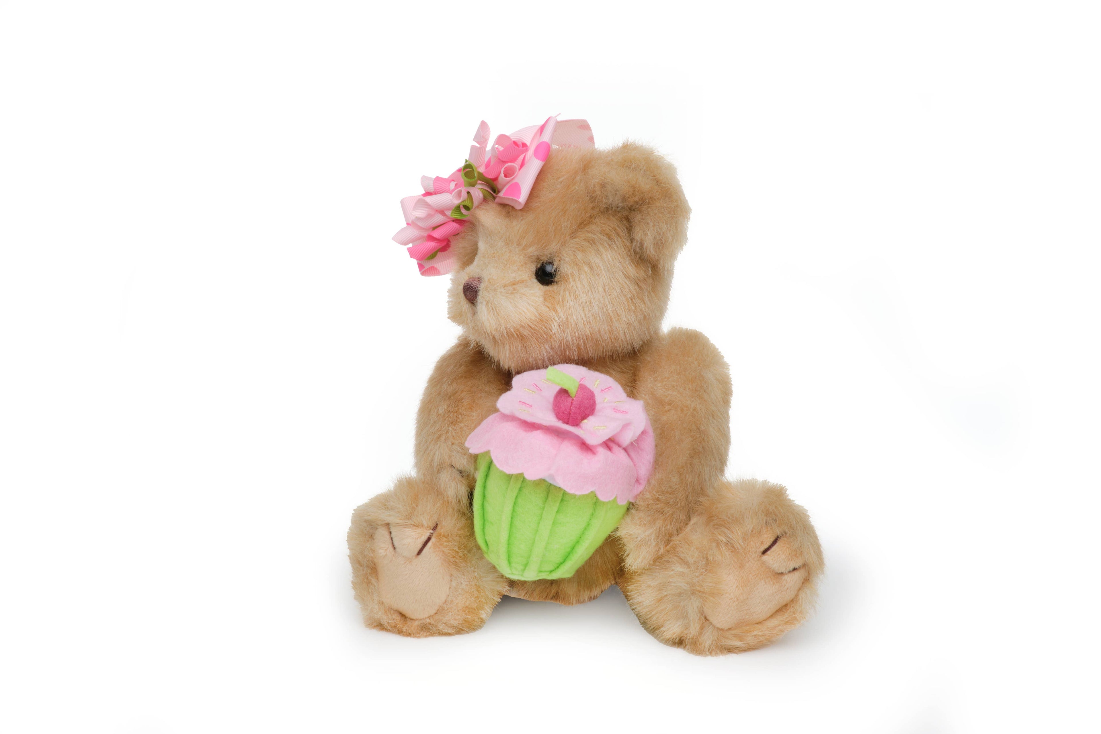 Casey Cupcake Birthday Bear