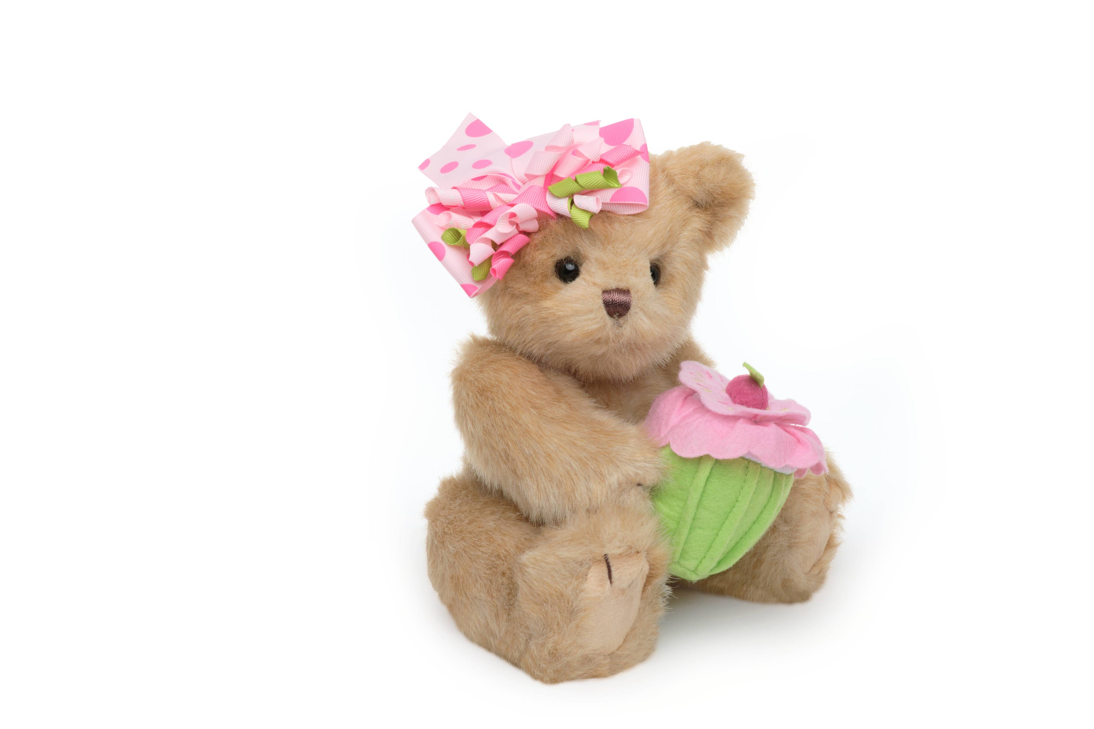 Casey Cupcake Birthday Bear