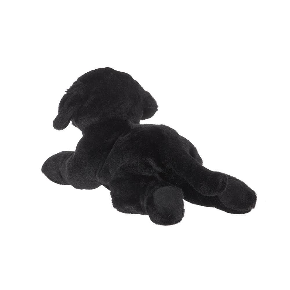 Lil' Jet the Black Lab
