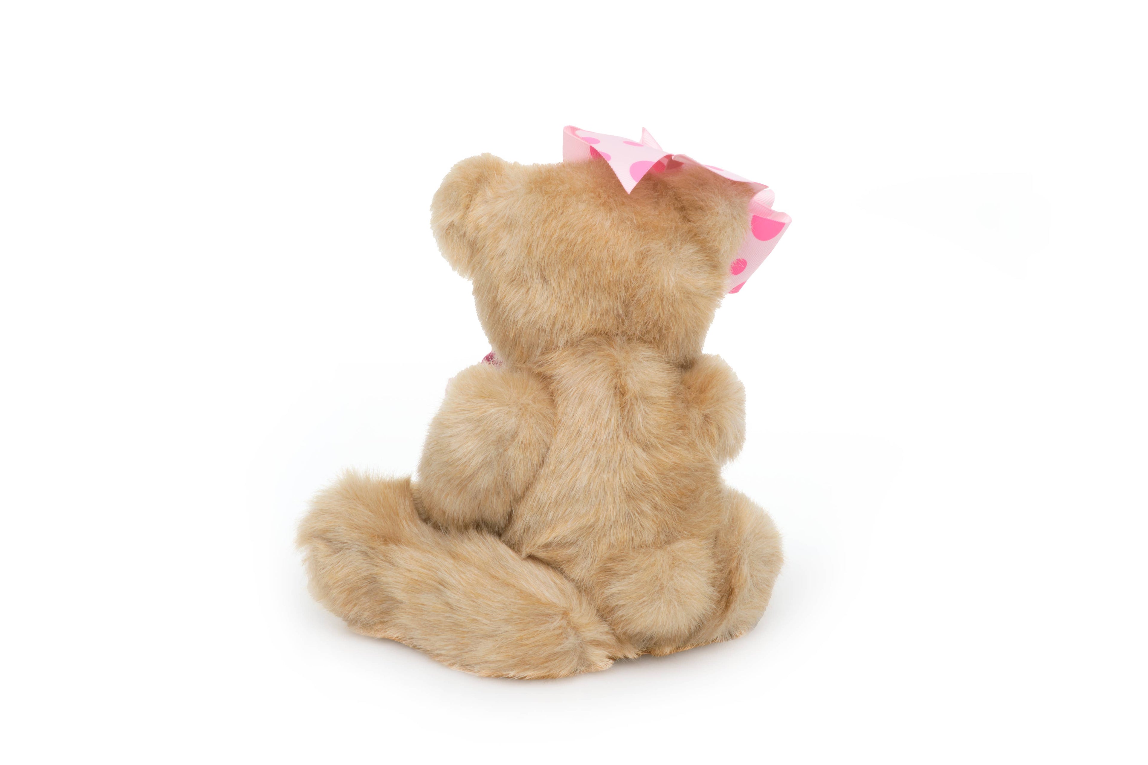 Casey Cupcake Birthday Bear