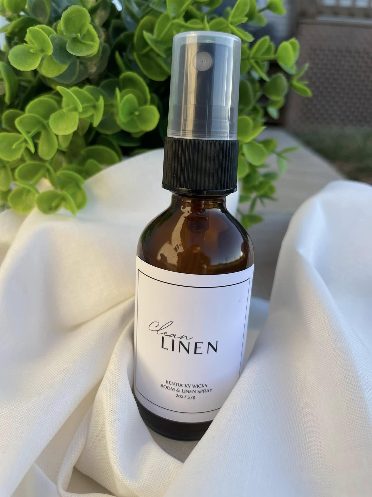 Kentucky Wicks Floral Agave