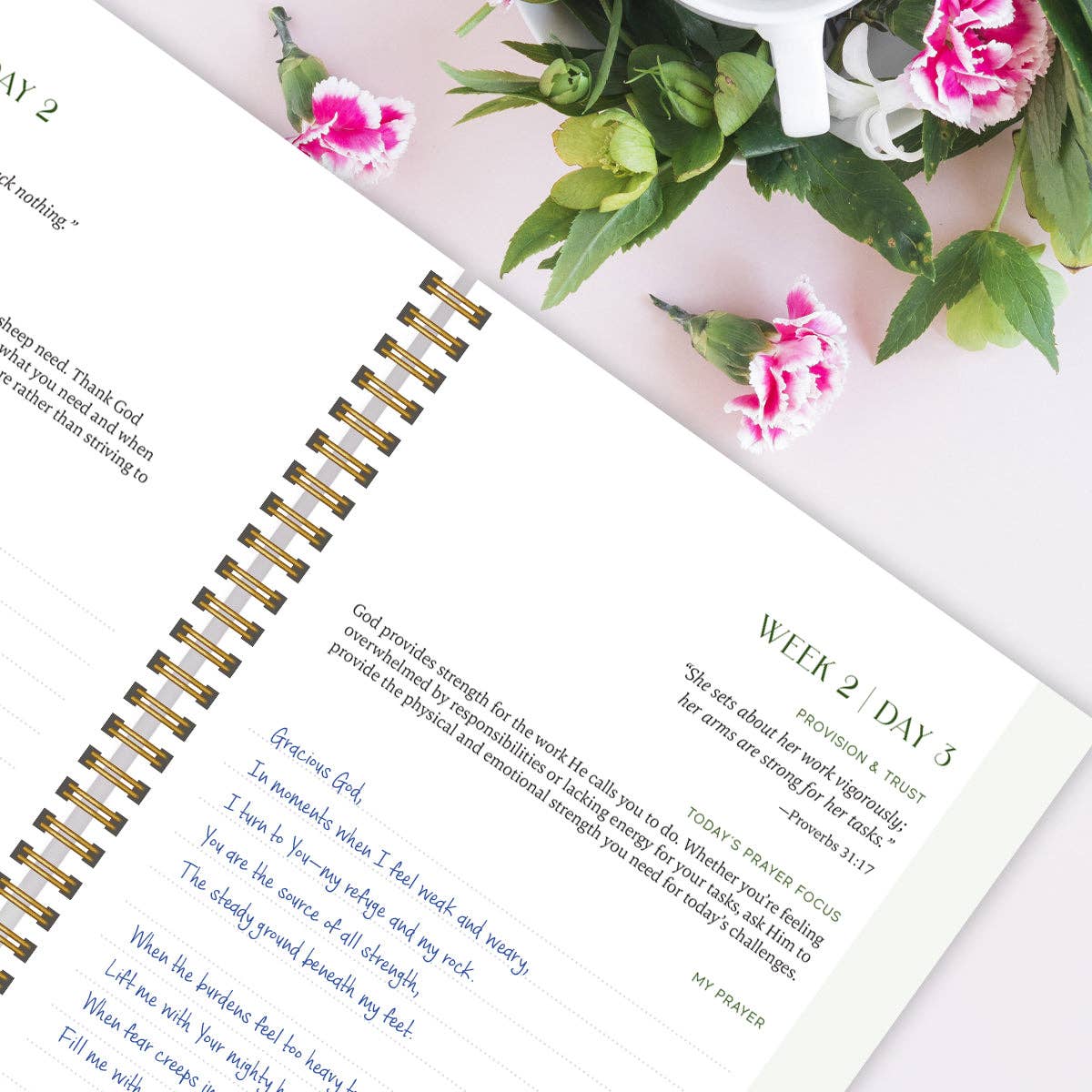 A Year In Prayer: A Journey of Daily Prayer and Reflection by Spiral Bible