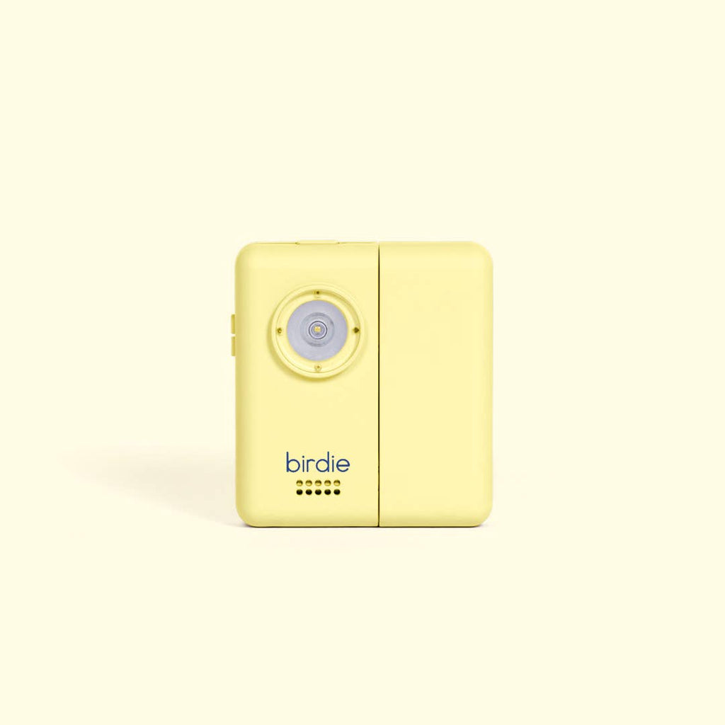 Birdie Box Portable Door Alarm