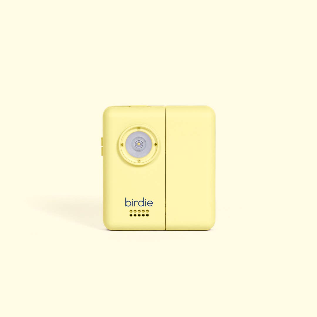 Birdie Box Portable Door Alarm