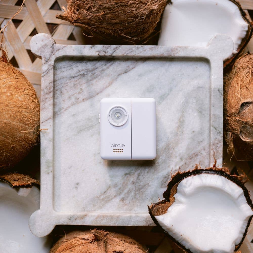 Birdie Box Portable Door Alarm