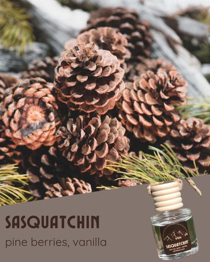Whiffin It Car Freshener - 12 new scents