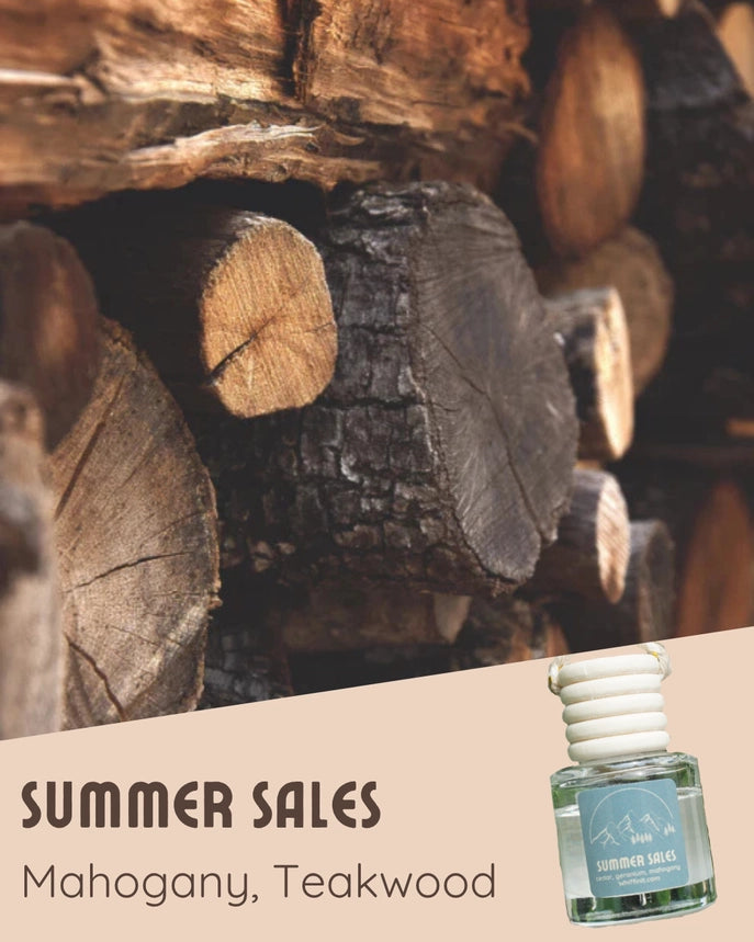 Whiffin It Car Freshener - 12 new scents